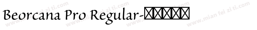 Beorcana Pro Regular字体转换